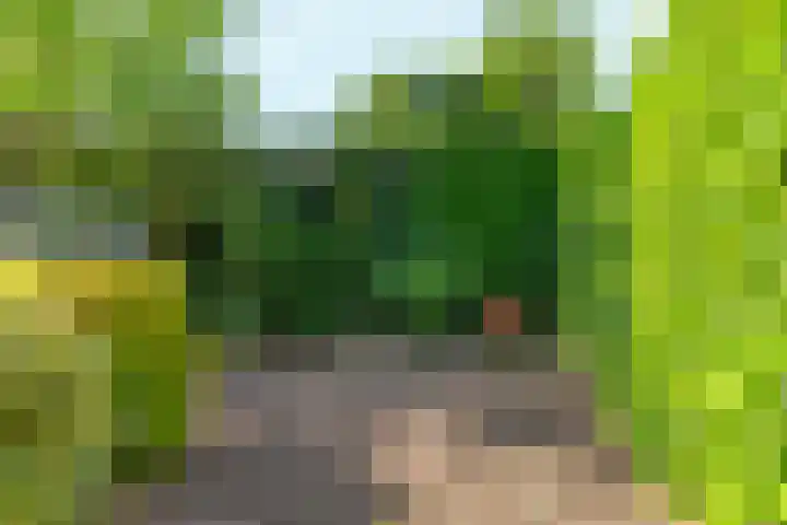 Einsteinstraat 1 Nijmegen thumbnail 57