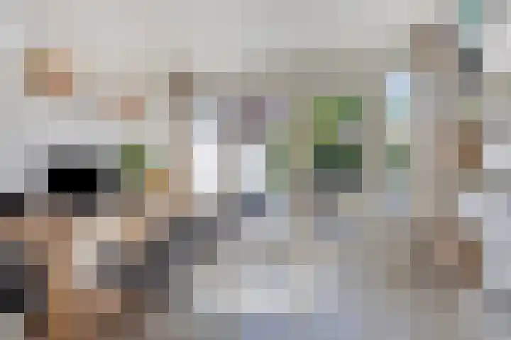 Einsteinstraat 10 Maastricht thumbnail 13