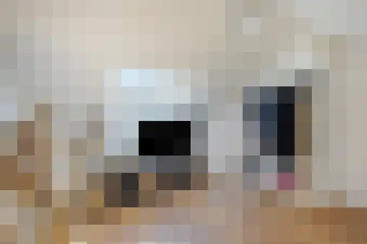 Einsteinstraat 10 Maastricht thumbnail 24