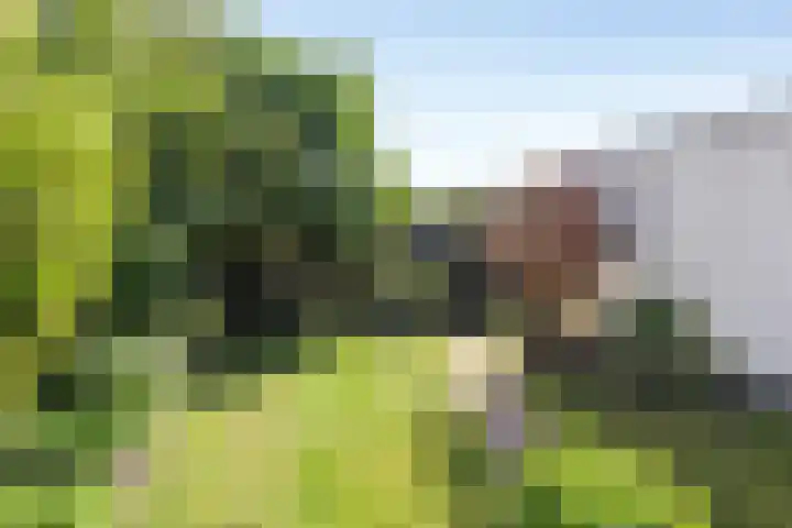 Einsteinstraat 10 Maastricht thumbnail 27