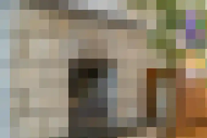 Einsteinstraat 10 Maastricht thumbnail 4