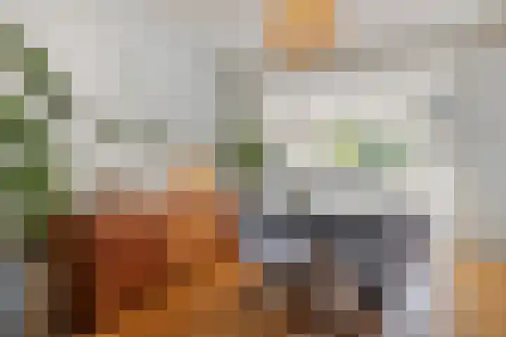 Einsteinstraat 10 Maastricht thumbnail 8