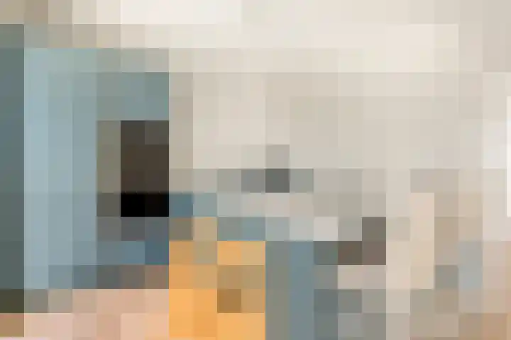 Einsteinstraat 10 Zandvoort thumbnail 13