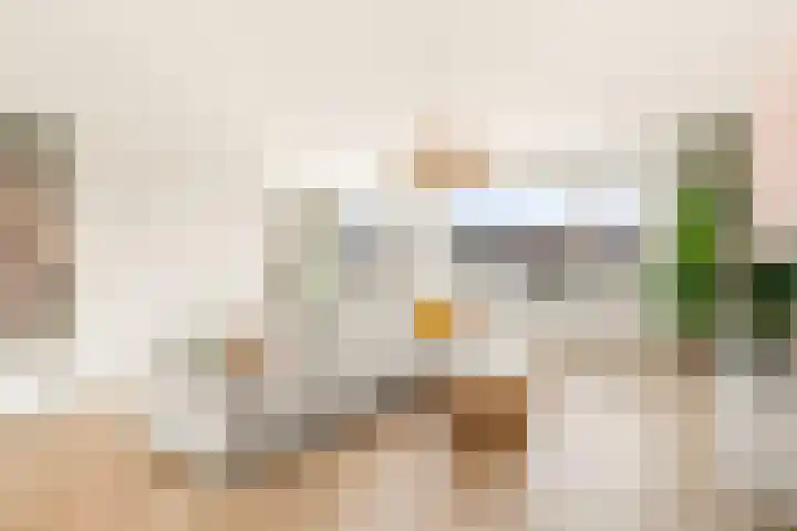 Einsteinstraat 10 Zandvoort thumbnail 18
