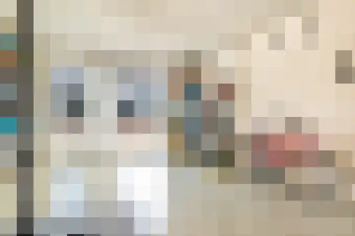 Einsteinstraat 10 Zandvoort thumbnail 57