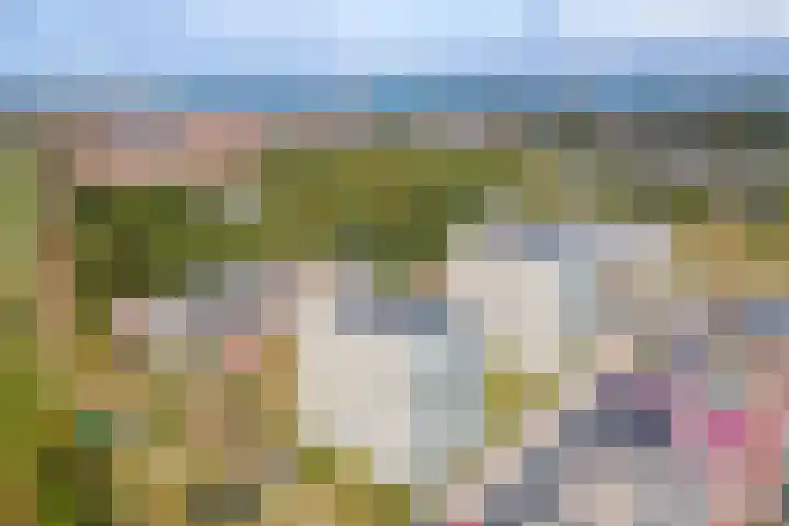 Einsteinstraat 10 Zandvoort thumbnail 60