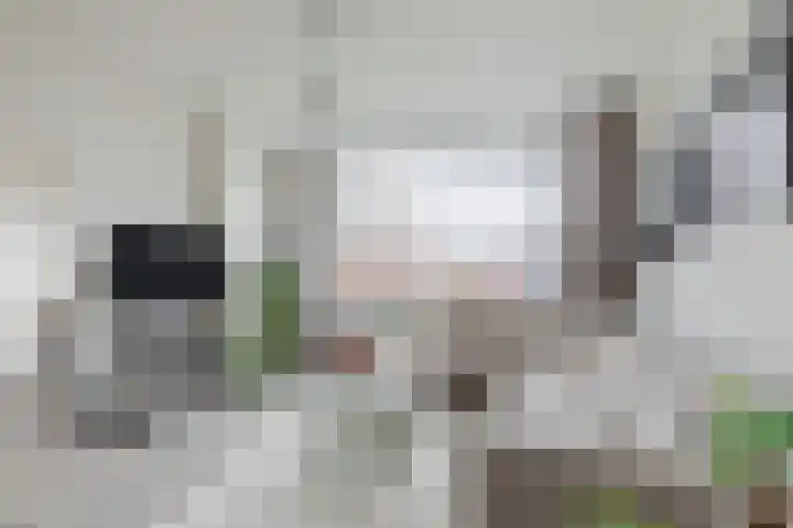 Einsteinstraat 109 Nijmegen thumbnail 10