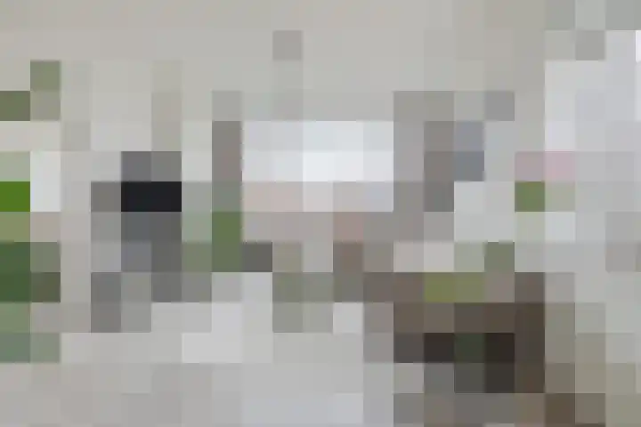 Einsteinstraat 109 Nijmegen thumbnail 11