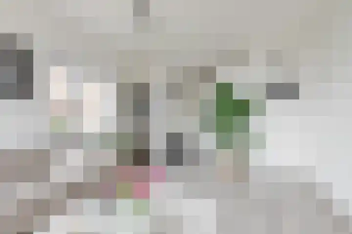 Einsteinstraat 109 Nijmegen thumbnail 12