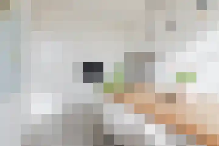 Einsteinstraat 109 Nijmegen thumbnail 15