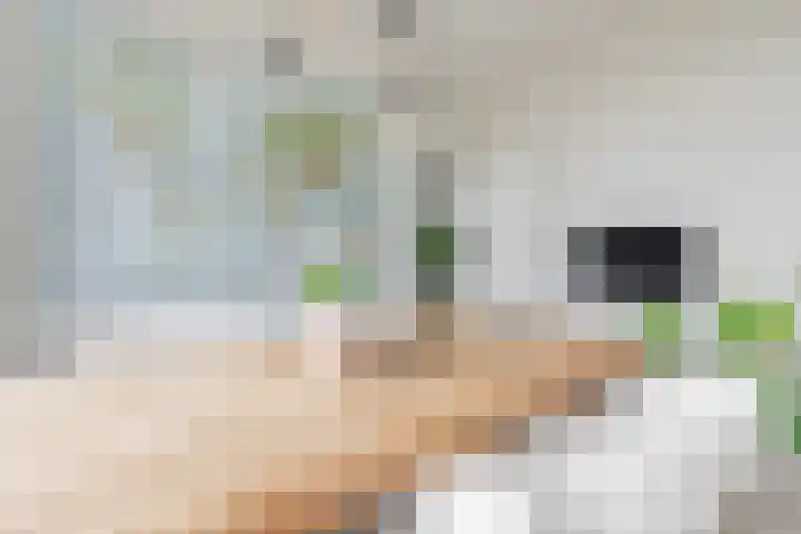 Einsteinstraat 109 Nijmegen thumbnail 16