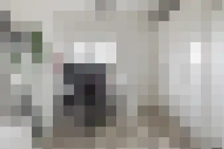 Einsteinstraat 109 Nijmegen thumbnail 25