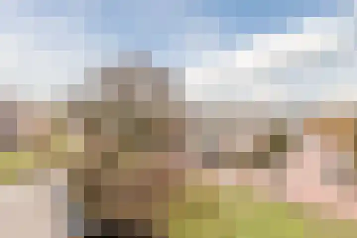 Einsteinstraat 109 Nijmegen thumbnail 33