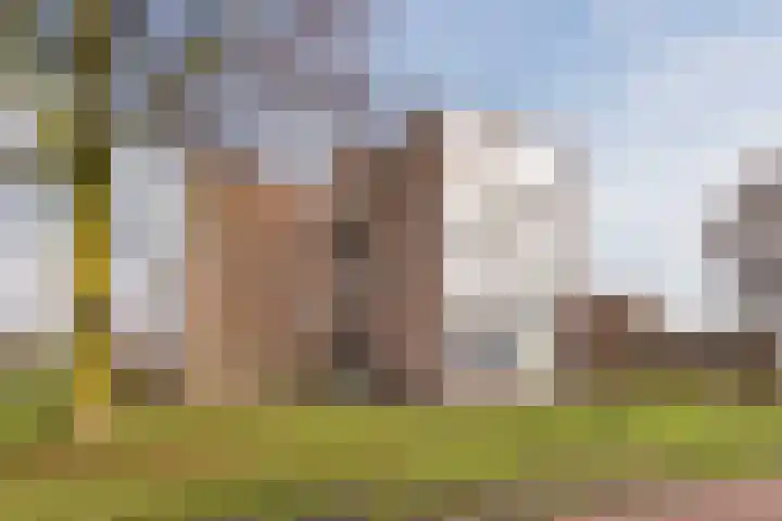 Einsteinstraat 109 Nijmegen thumbnail 6
