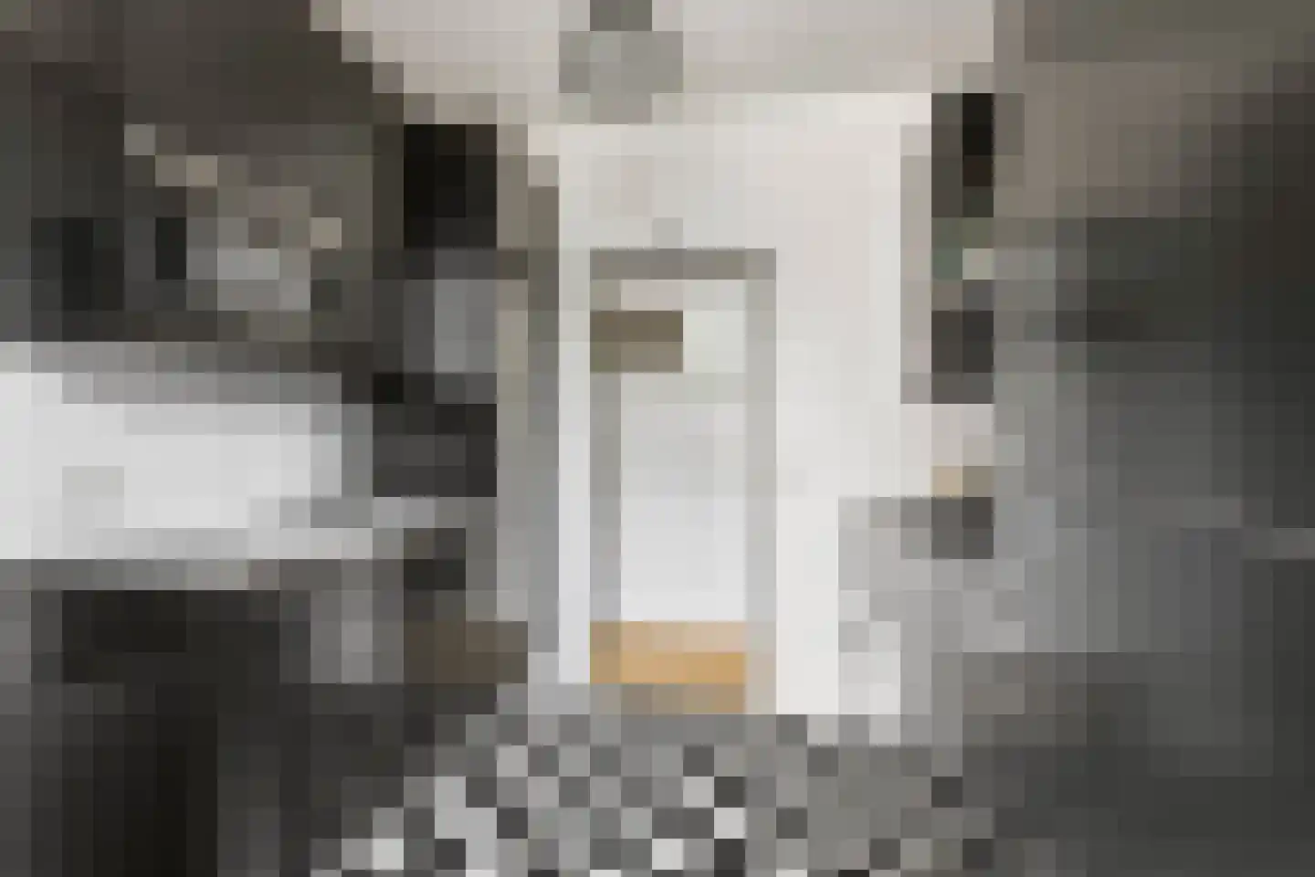 Einsteinstraat 121 Nijmegen thumbnail 7