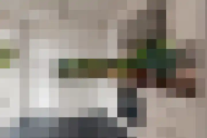 Einsteinstraat 129 Nijmegen thumbnail 13