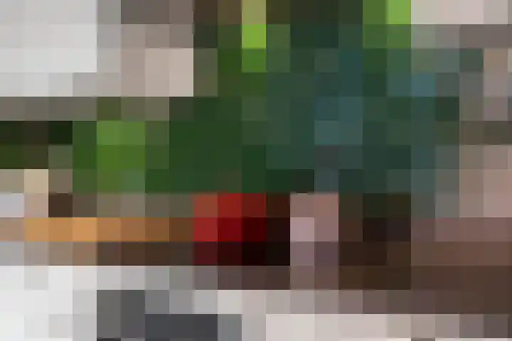 Einsteinstraat 129 Nijmegen thumbnail 14
