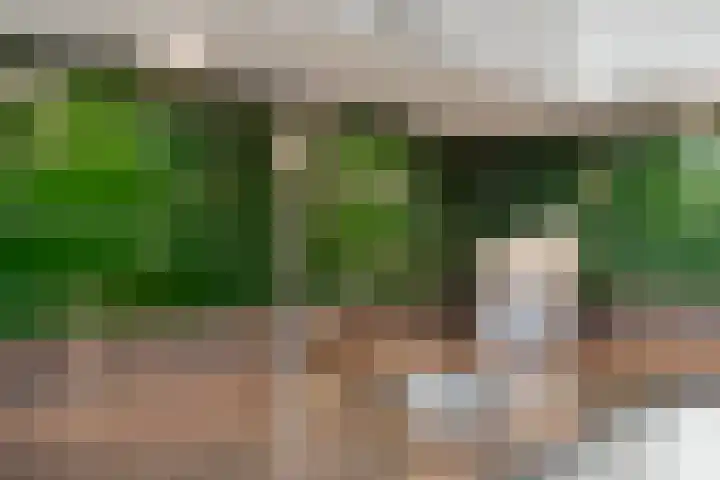 Einsteinstraat 129 Nijmegen thumbnail 20