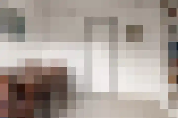 Einsteinstraat 129 Nijmegen thumbnail 25