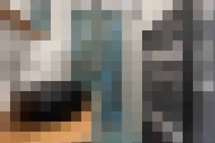 Einsteinstraat 129 Nijmegen thumbnail 29