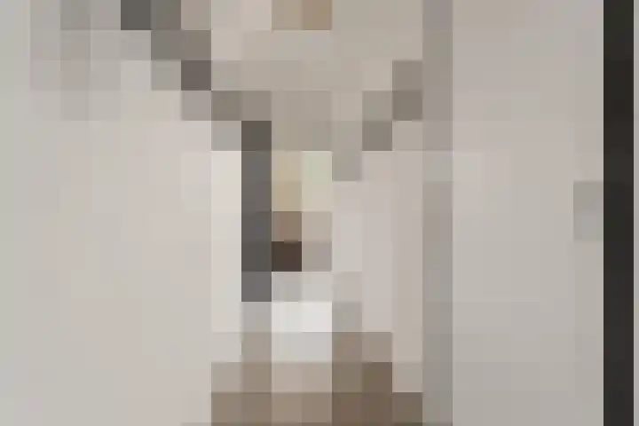 Einsteinstraat 129 Nijmegen thumbnail 5