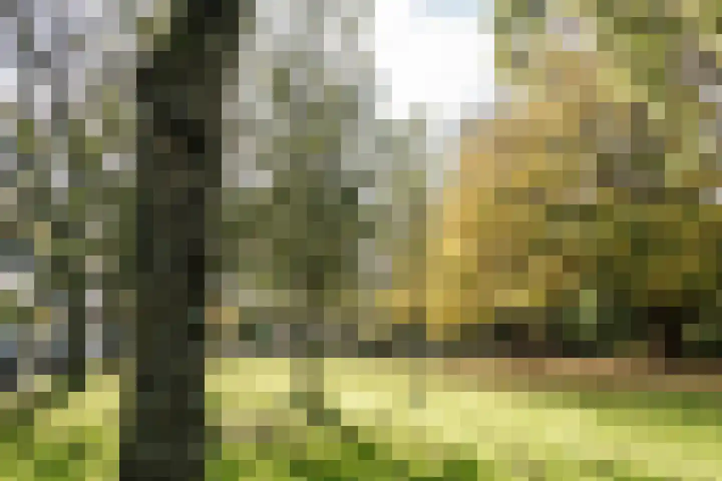 Einsteinstraat 14 I Haarlem thumbnail 20