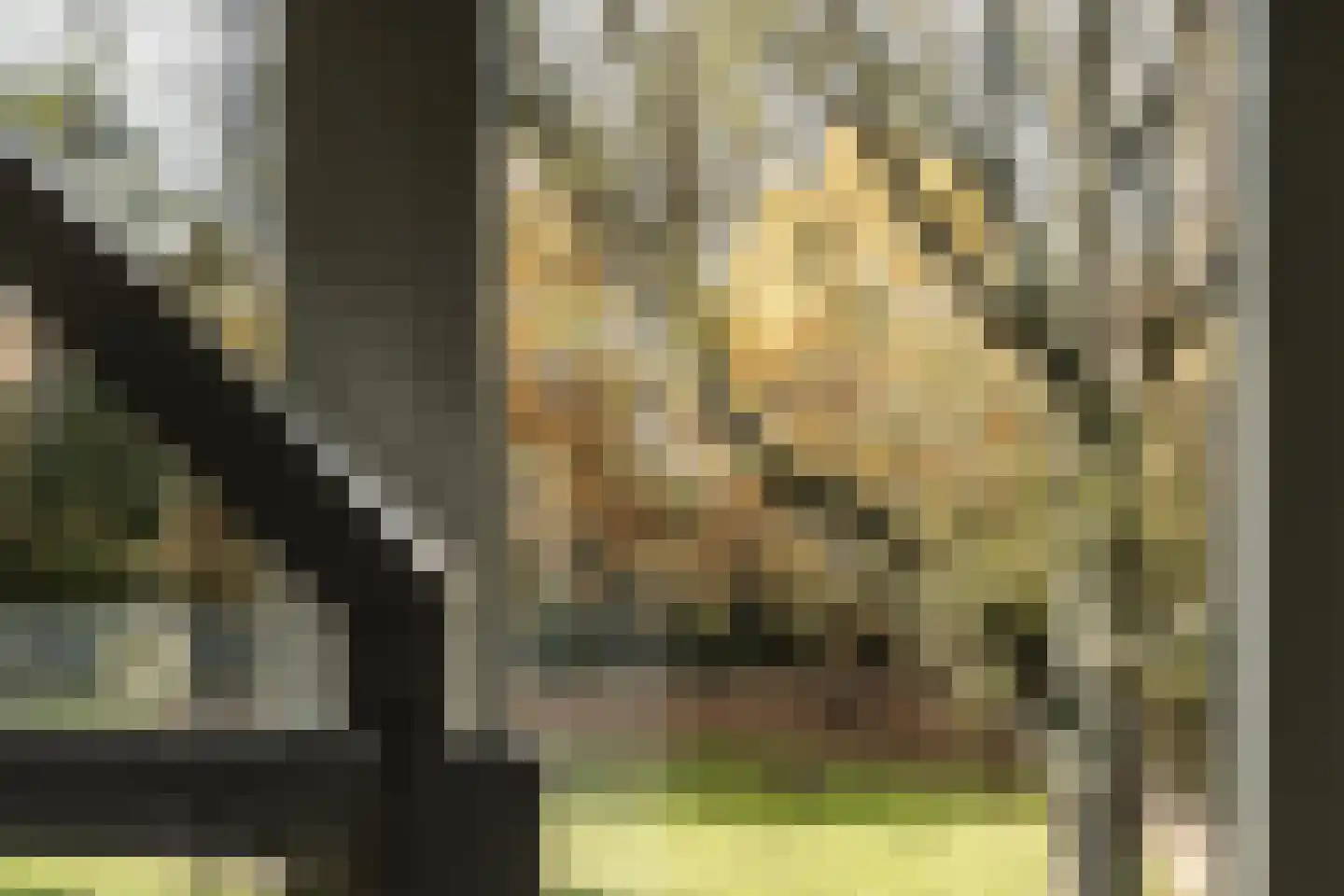 Einsteinstraat 14 I Haarlem thumbnail 7