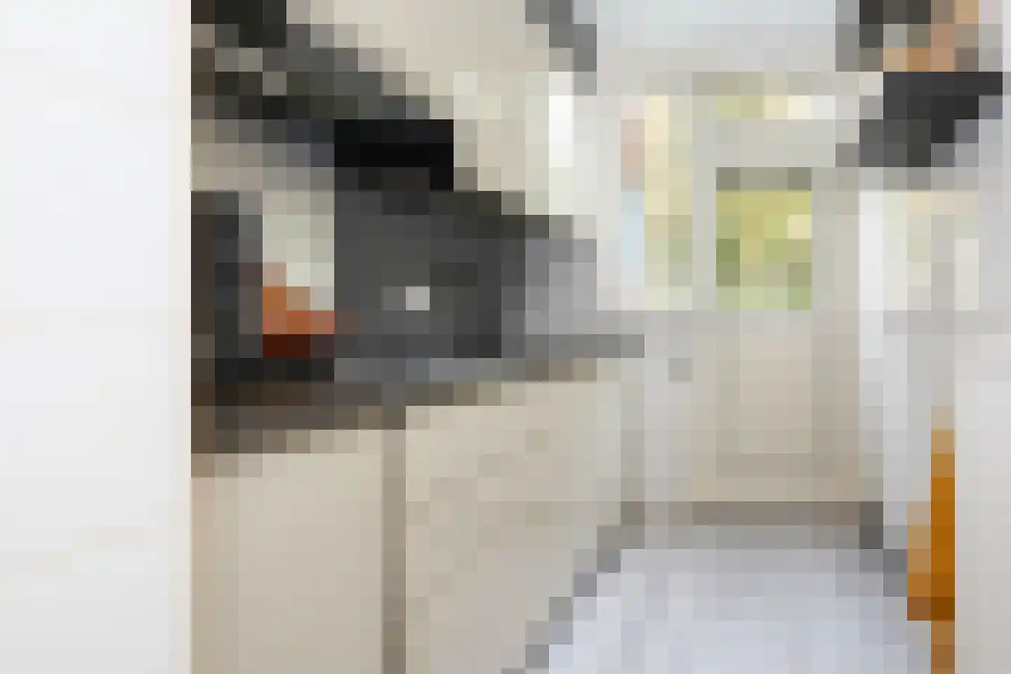Einsteinstraat 16 II Haarlem thumbnail 4