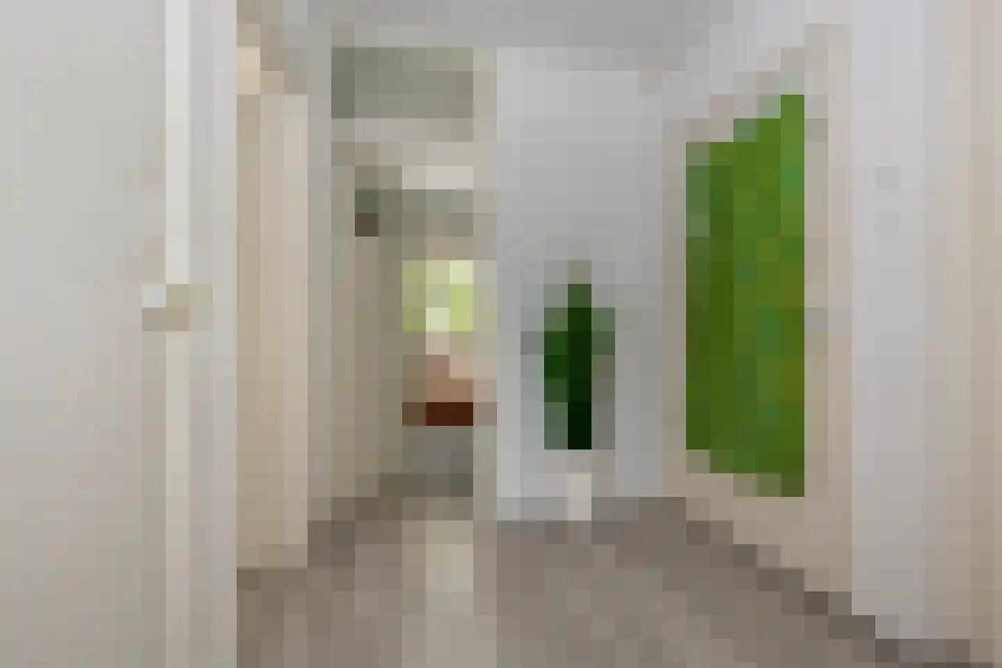 Einsteinstraat 16 II Haarlem thumbnail 6