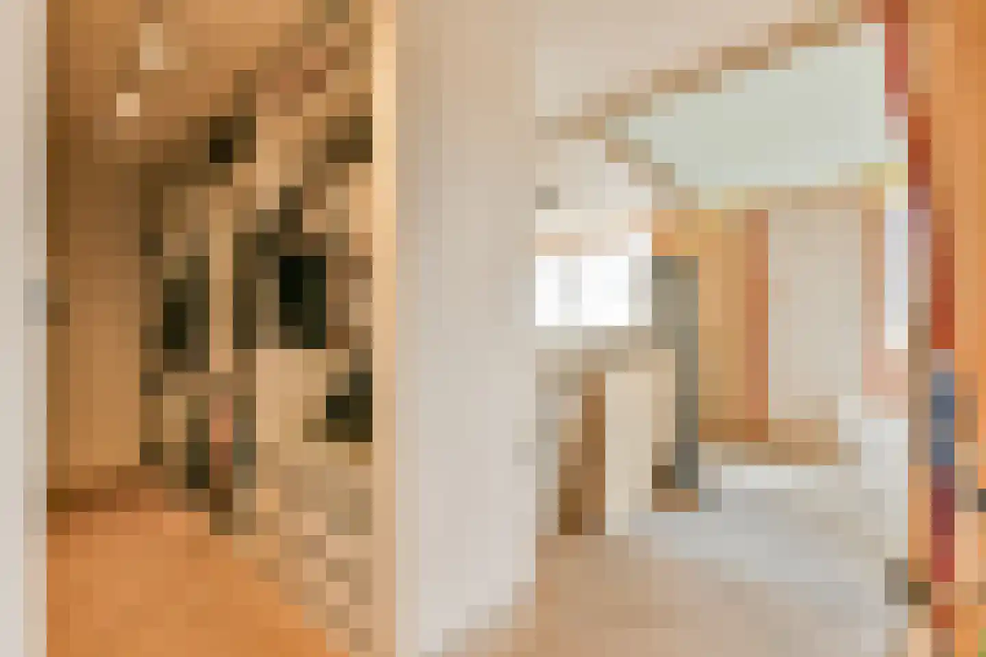 Einsteinstraat 16 Zandvoort thumbnail 18