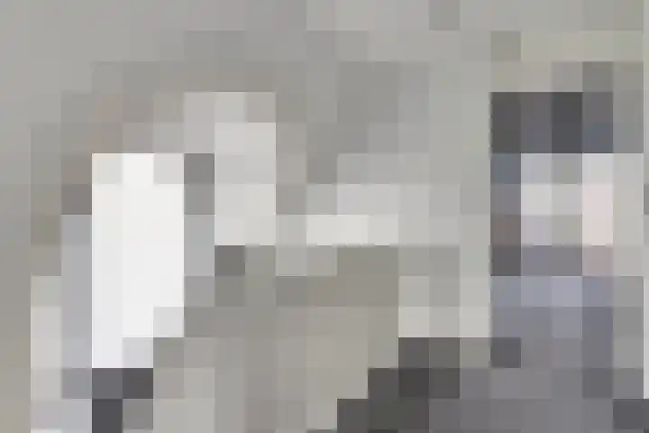 Einsteinstraat 2 Kruiningen thumbnail 21
