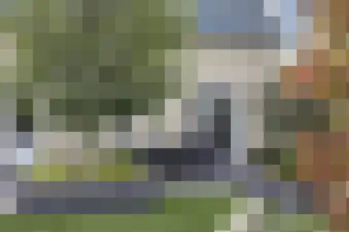 Einsteinstraat 2 Kruiningen thumbnail 34