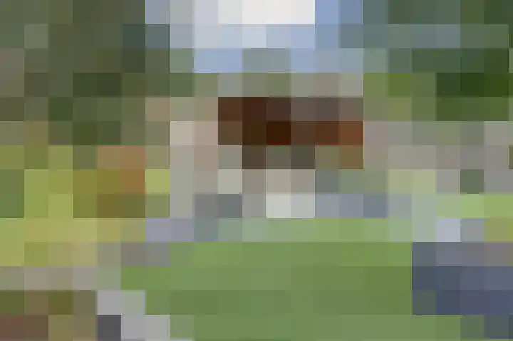 Einsteinstraat 2 Kruiningen thumbnail 38