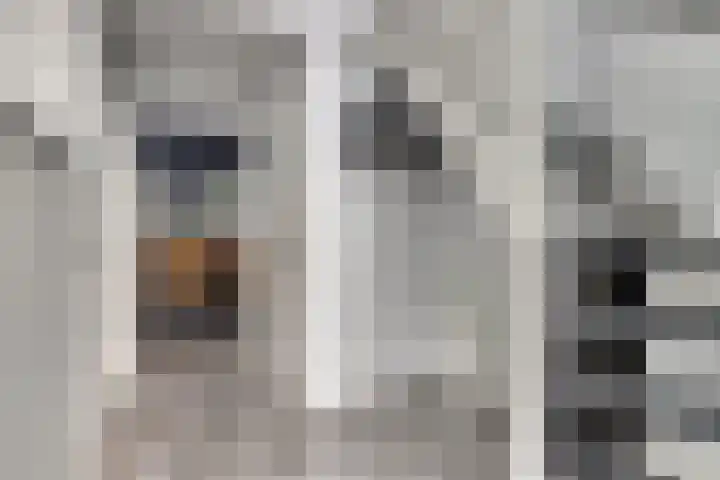 Einsteinstraat 2 Kruiningen thumbnail 7