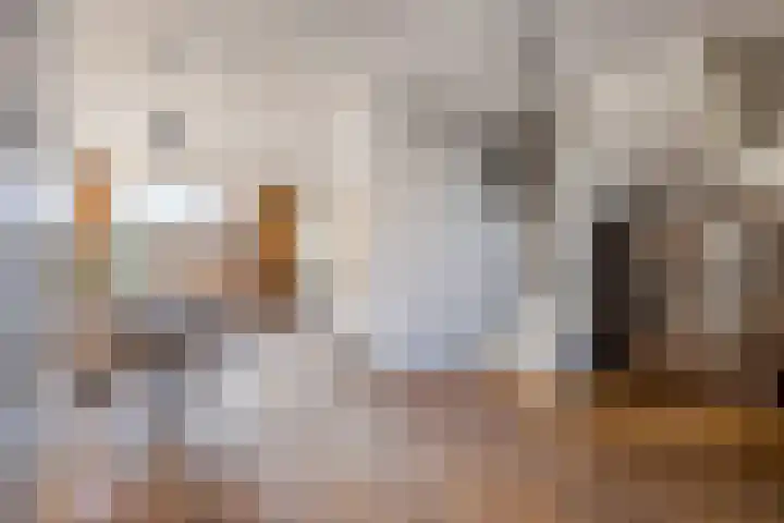 Einsteinstraat 20 Schoonhoven thumbnail 10