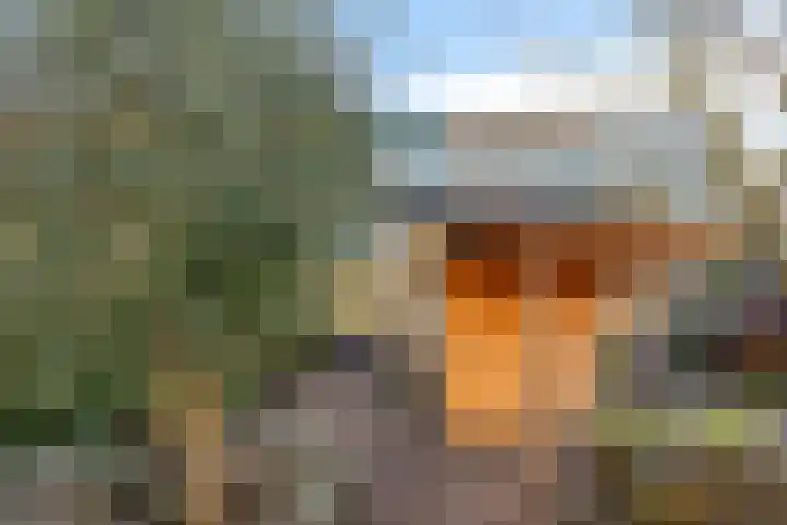 Einsteinstraat 20 Schoonhoven thumbnail 4