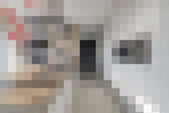 Einsteinstraat 22 Boxtel thumbnail 26