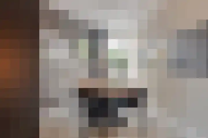 Einsteinstraat 22 Boxtel thumbnail 28
