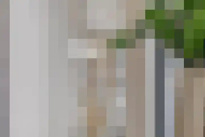Einsteinstraat 22 Boxtel thumbnail 30