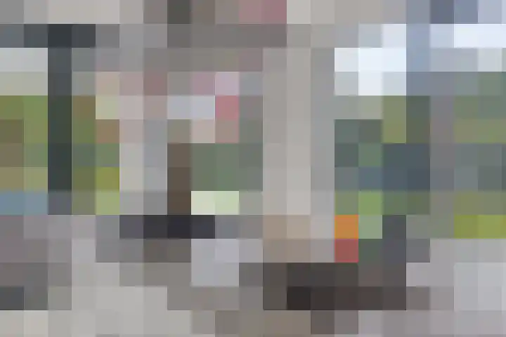 Einsteinstraat 22 Boxtel thumbnail 4