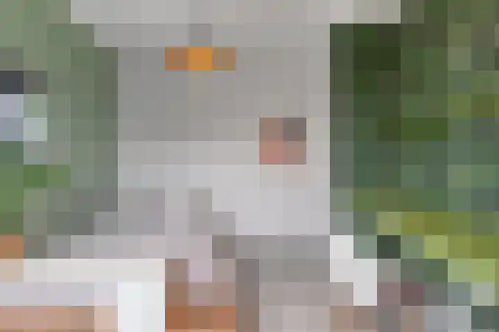 Einsteinstraat 22 Boxtel thumbnail 43