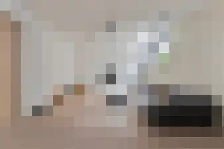 Einsteinstraat 22 Boxtel thumbnail 55