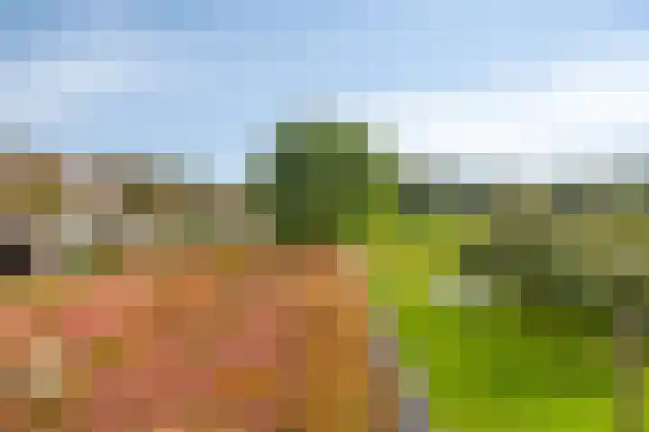 Einsteinstraat 22 Boxtel thumbnail 60