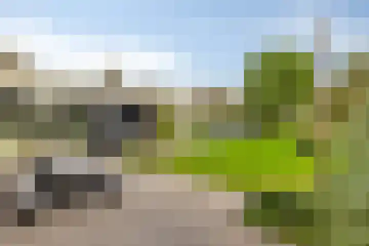 Einsteinstraat 22 Boxtel thumbnail 62