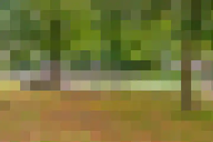 Einsteinstraat 22 Boxtel thumbnail 72