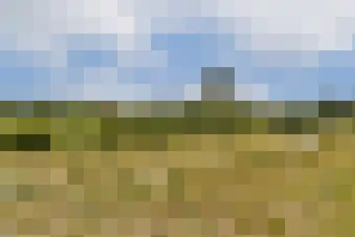 Einsteinstraat 24 Zandvoort thumbnail 20