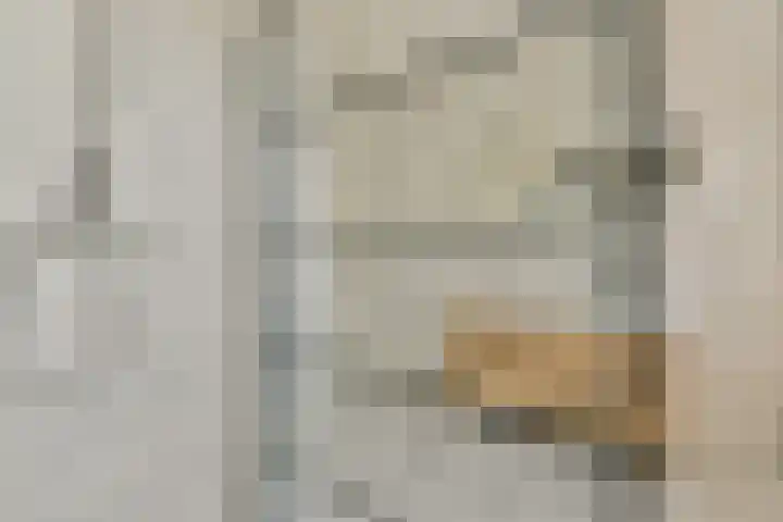 Einsteinstraat 24 Zandvoort thumbnail 30