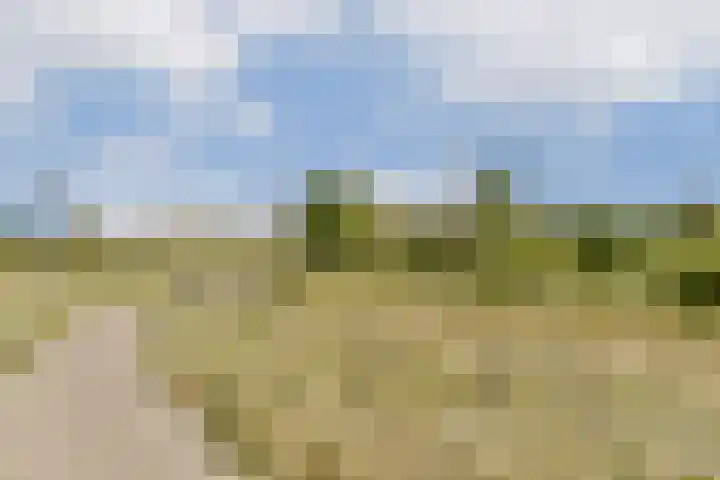 Einsteinstraat 24 Zandvoort thumbnail 38