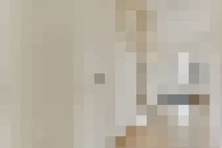 Einsteinstraat 24 Zandvoort thumbnail 5