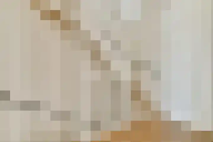 Einsteinstraat 24 Zandvoort thumbnail 6